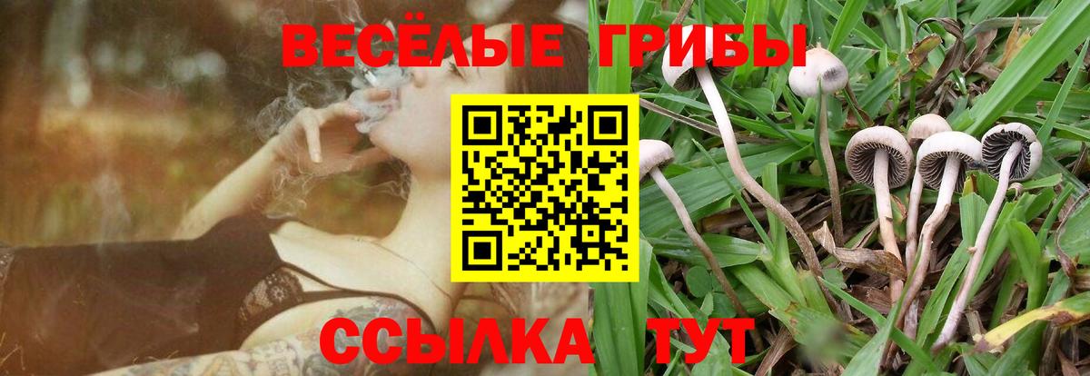 Псилоцибиновые грибы Magic Shrooms  что такое наркотик  Протвино  Галлюциногенные грибы GOLDEN TEACHER  Вход с VPN 